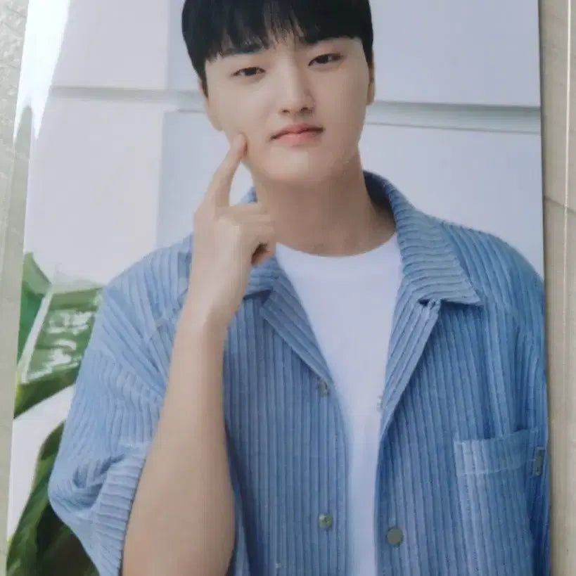 [BUNJANG] T1 Phase Impact-Immune Photocard / 대웅제약 임펙타뮨 T1 페이즈 포토카드