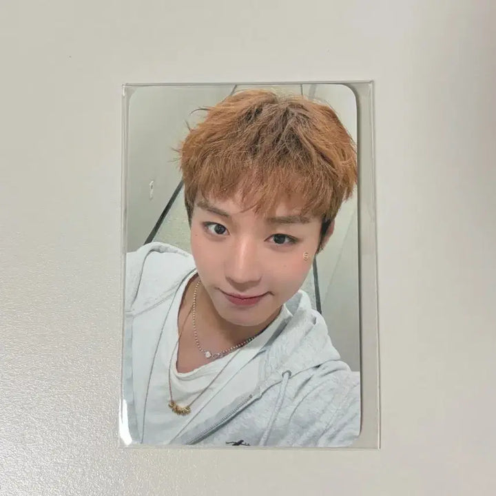 [BUNJANG] Park Ji Hoon Fancon MD Carabiner Photocard POB Reflect / 박지훈 카라비너 포카 팬콘 MD 굿즈 팝업 미공포 리플렉트