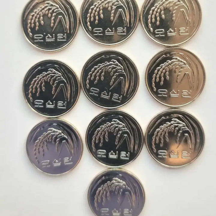 [BUNJANG] Unused 50 Won Coin Bundle (10 pieces) / 50원 미사용동전 10개