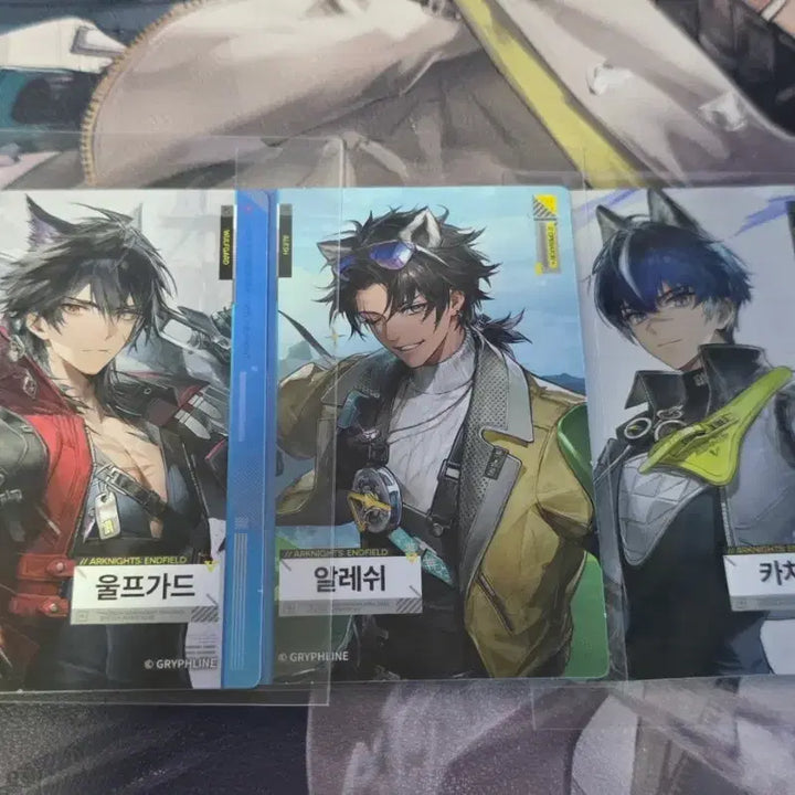 [BUNJANG] Arknights Endfield GS25 Collaboration Photocard Set / 명일방주 엔드필드 엔필 GS25 포카 판매