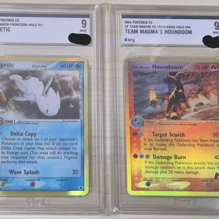 [BUNJANG] Pokemon EX Team Magma&