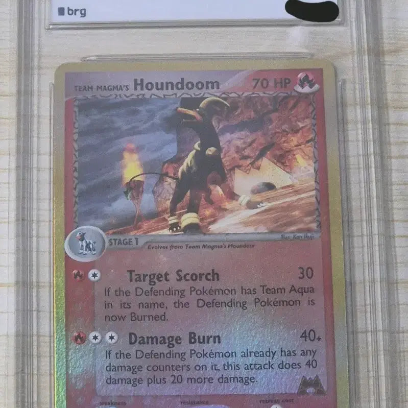 [BUNJANG] Pokemon EX Team Magma&