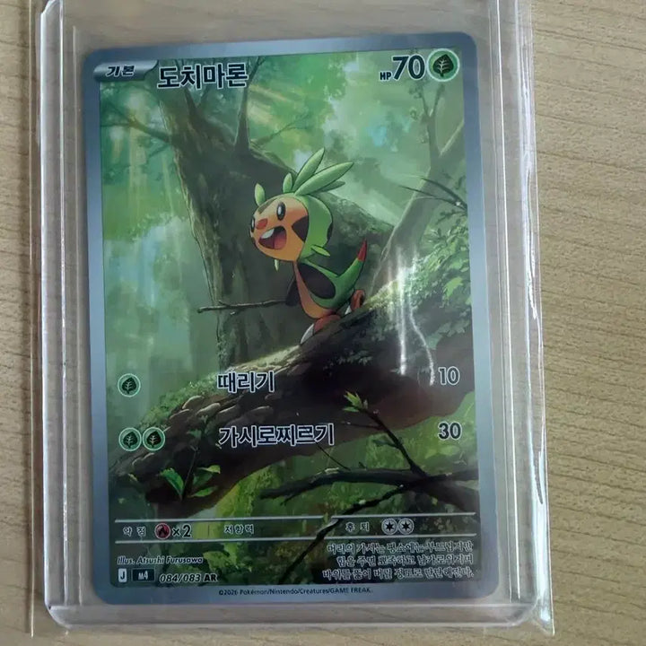 [BUNJANG] Pokemon Maractus AR Card / 포켓몬 도치마론 AR