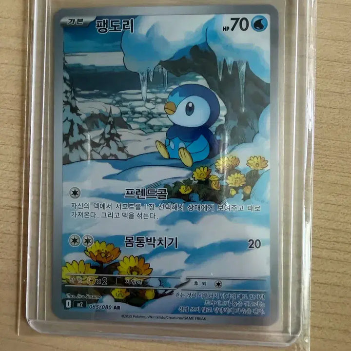 [BUNJANG] Pokemon Piplup AR Card / 포켓몬 팽도리 AR