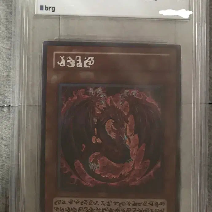 [BUNJANG] BRG9 Uriah Photocard / [BRG9] 환마어 우리아 신일 판매