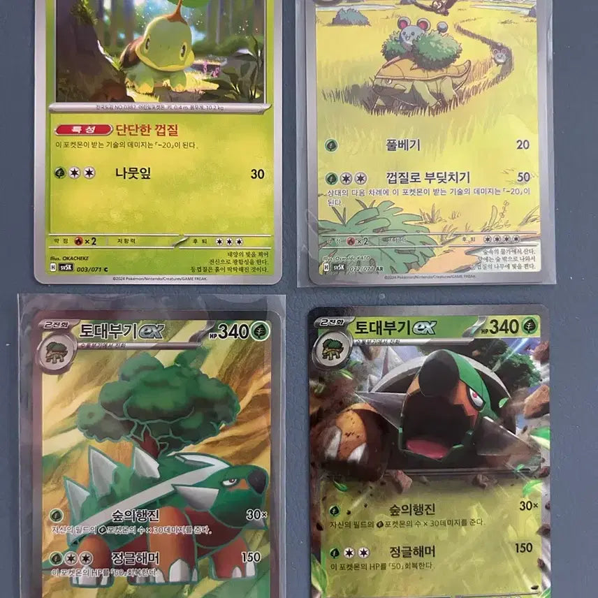 [BUNJANG] Pokemon Turtwig Evolution Tree - Grotle AR, Torterra SR / 포켓몬스터 모부기 진화트리 - 수풀부기 ar, 토대부기 sr