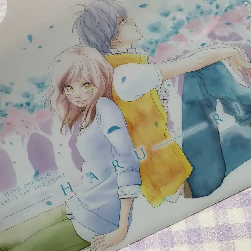 [BUNJANG] Aoharaido Classic Clear File Holder Binder - Bessatsu Margaret Bonus / 고전 아오하라이드 클리어 파일 홀더 바인더 별책 마가렛 부록