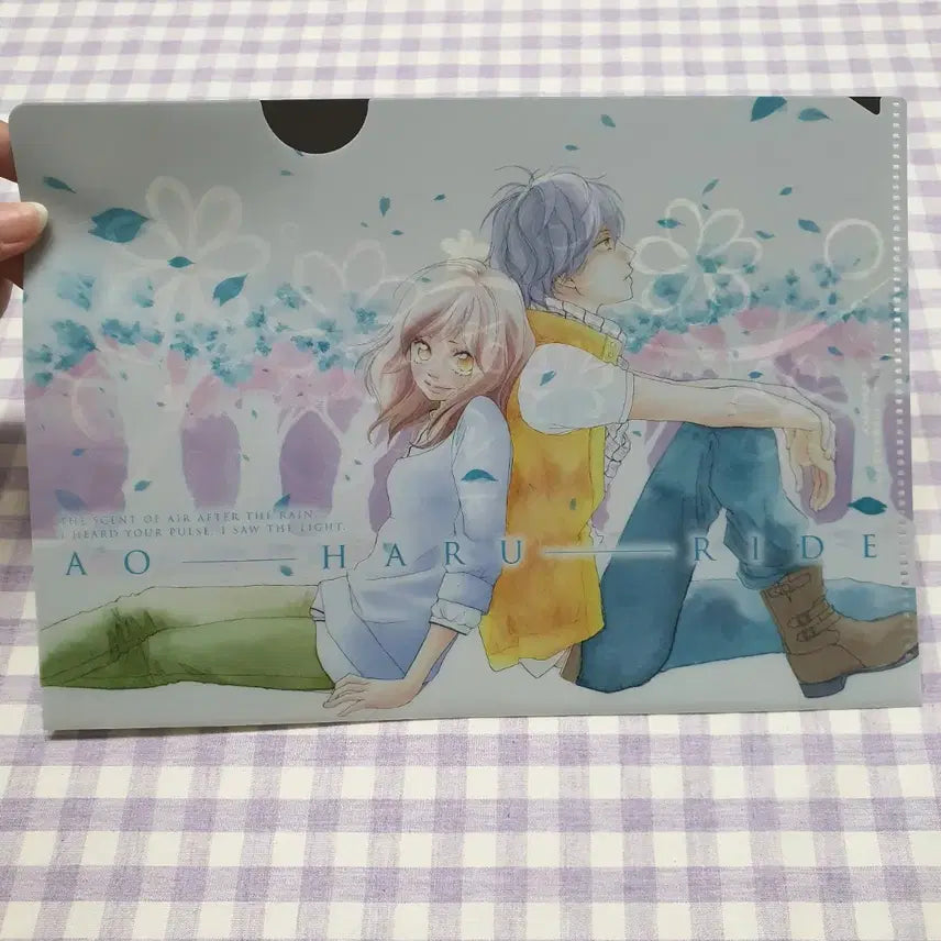 [BUNJANG] Aoharaido Classic Clear File Holder Binder - Bessatsu Margaret Bonus / 고전 아오하라이드 클리어 파일 홀더 바인더 별책 마가렛 부록