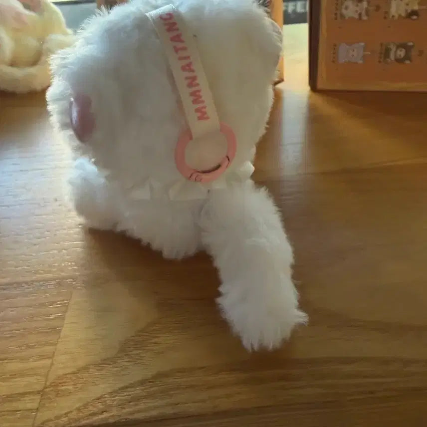 [BUNJANG] Baby3 Naughty Cat Plush / 베이비쓰리 노티캣 인형