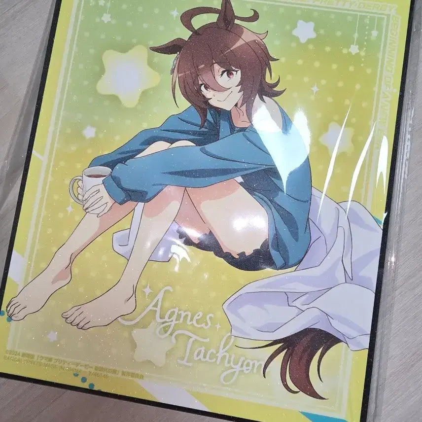 [BUNJANG] Uma Musume Agnes Tachyon Art Board (Sealed) / 우마무스메 아그네스 타키온 아트보드(미개봉)