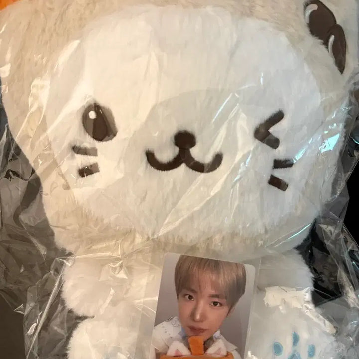 [BUNJANG] Bubble Cat 30cm Plush Toy (Sealed) / 30cm 버블냥 미개봉