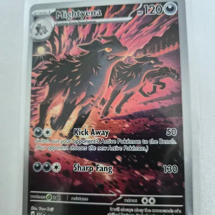 [BUNJANG] Pokemon Card North America Graena AR / 포켓몬카드 북미 그라에나AR