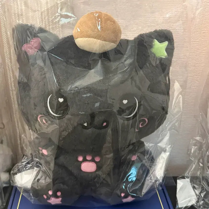 [BUNJANG] Kuri 30cm Doll (Sealed) / 30cm 쿠리 미개봉