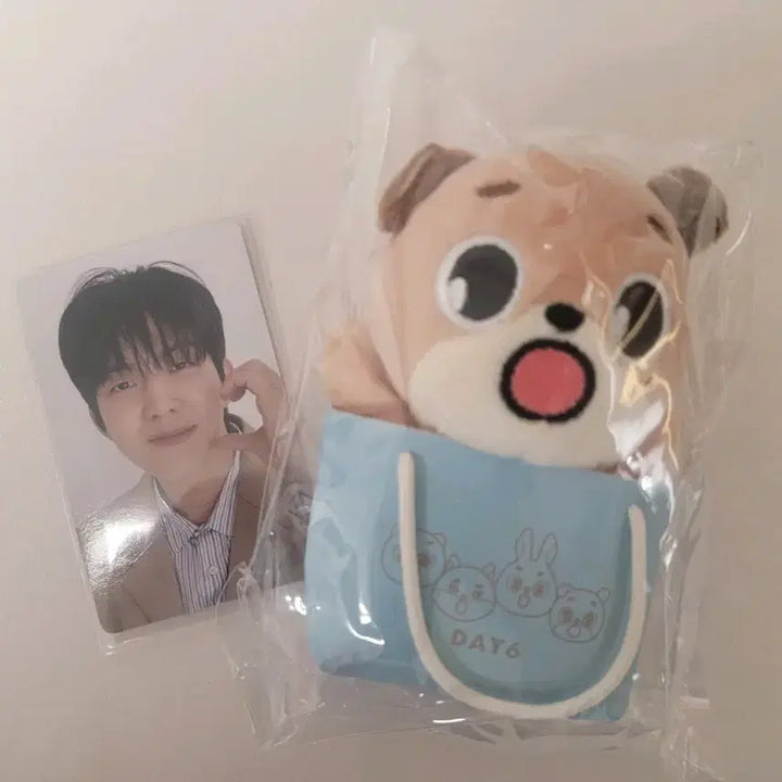 [BUNJANG] Day6 Japan MD Baekchan &amp; Dowoon Photocard / 데이식스 일본 엠디 백참 돈 + 도운 포카