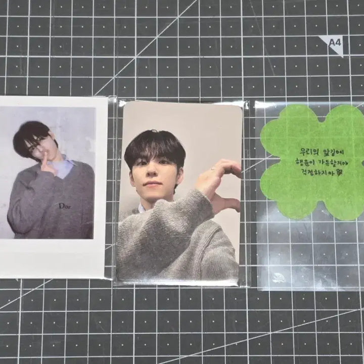 [BUNJANG] DAY6 Wonpil Unpiltered Concert DAY1 Photocard (Sealed) / [미개봉] DAY6 원필 언필터드 콘서트 DAY1 포카