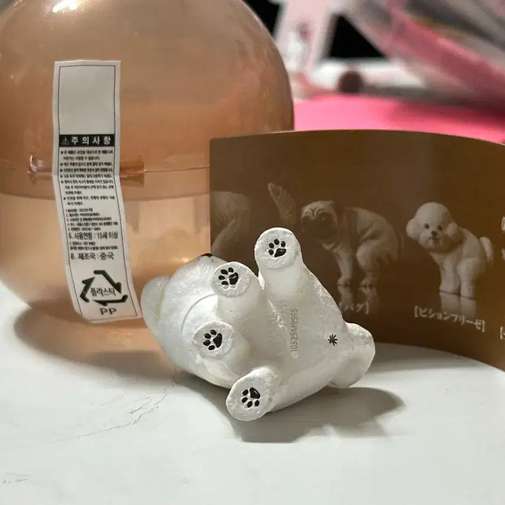 [BUNJANG] Puppy Taking a Poop Bichon Gacha Figure / 훈바리누 응참아볼개 똥싸는강아지 비숑 가챠 피규어