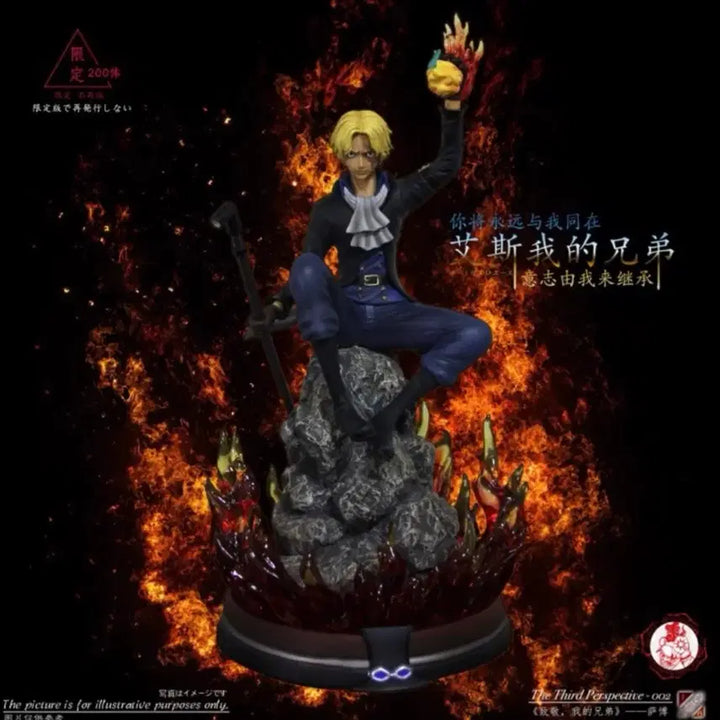 [BUNJANG] Siz Sabo One Piece Resin Figure / siz사보 레진 원피스 피규어