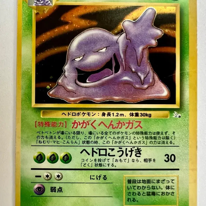 [BUNJANG] Sealed Pokemon Early Holo Set Meganium, Garbodor, Omastar, Pidgeot / 홀로) 포켓몬 포켓몬스터 초기 메가니움 질뻐기 시라소몬 깨비드릴조 세트