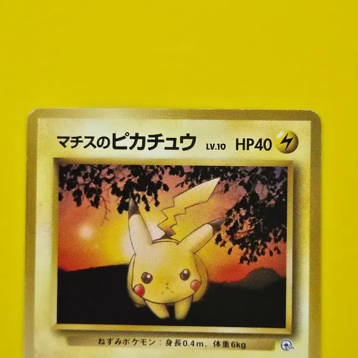 [BUNJANG] Pokemon Card 1996 Red Sunset Pikachu 1st Edition Limited Japanese / 포켓몬카드 1996 붉은노을 피카츄 1차한정초판 일판 일본판