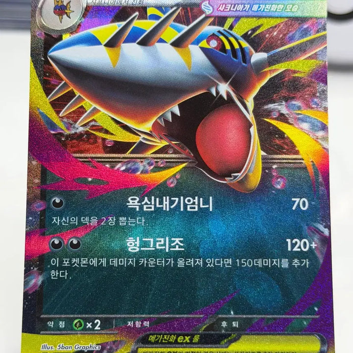 [BUNJANG] Mega Sharknia M2 051/080 RR / 메가샤크니아 M2 051/080 RR