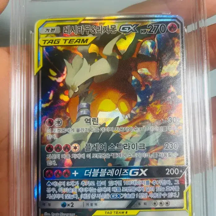 [BUNJANG] Pokemon Card Reshiram &amp; Charizard GX Special Art / 포켓몬카드 레시라무&amp;리자몽 GX특일