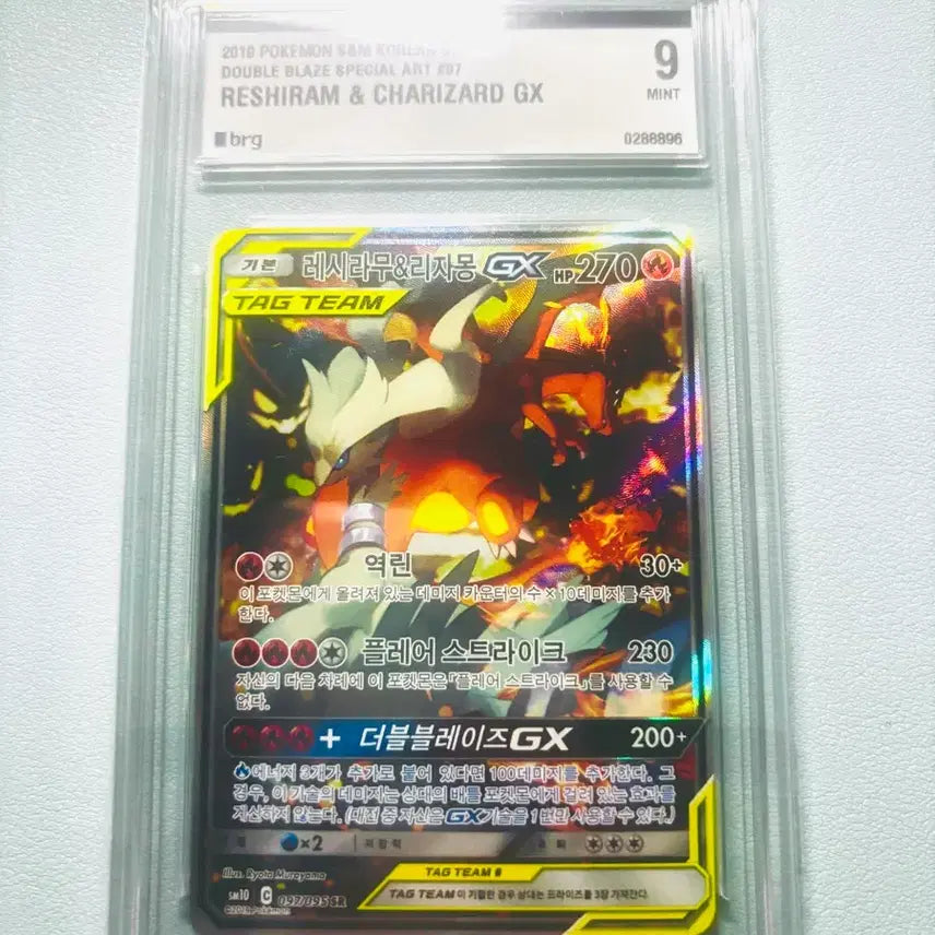 [BUNJANG] Pokemon Card Reshiram &amp; Charizard GX Special Art / 포켓몬카드 레시라무&amp;리자몽 GX특일