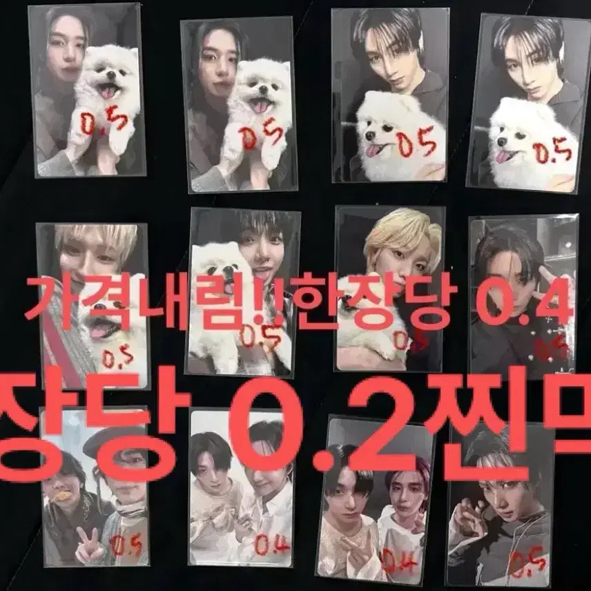 [BUNJANG] BOYNEXTDOOR Home Album Photocard POB / 보넥도 보이넥스트도어 홈 home 앨범 포카 특전 양도