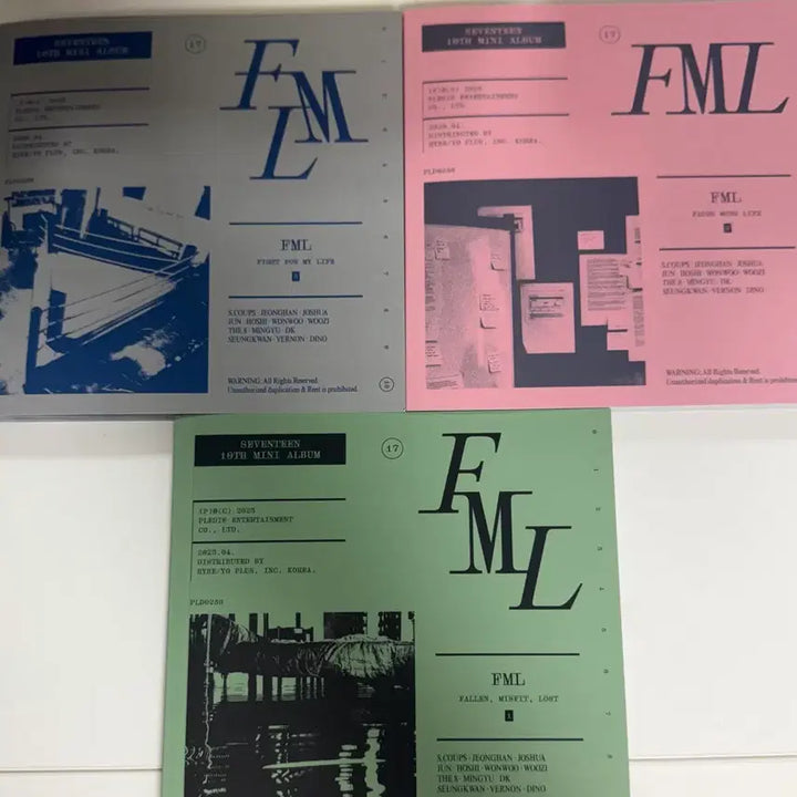 [BUNJANG] SEVENTEEN FML 10th Anniversary Mini Album / 세븐틴 FML 10주년 미니앨범
