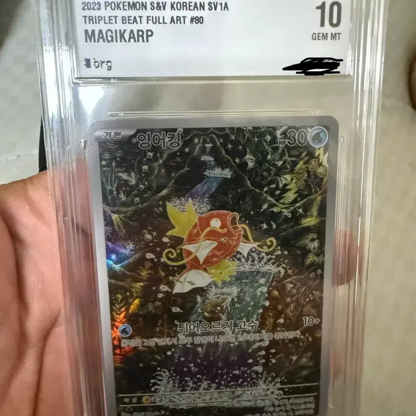 [BUNJANG] Pokemon TCG Magikarp Triple Red Rare Full Art 