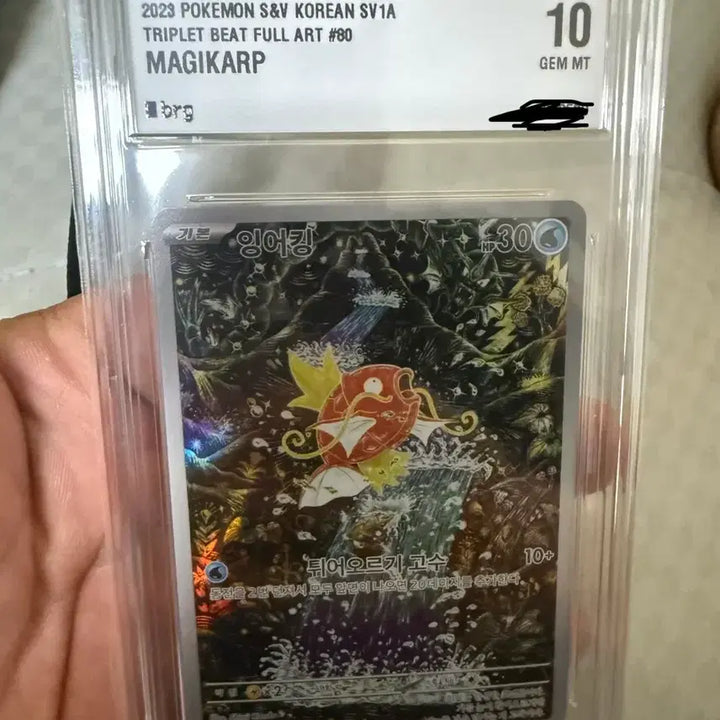 [BUNJANG] Pokemon TCG Magikarp Triple Red Rare Full Art 