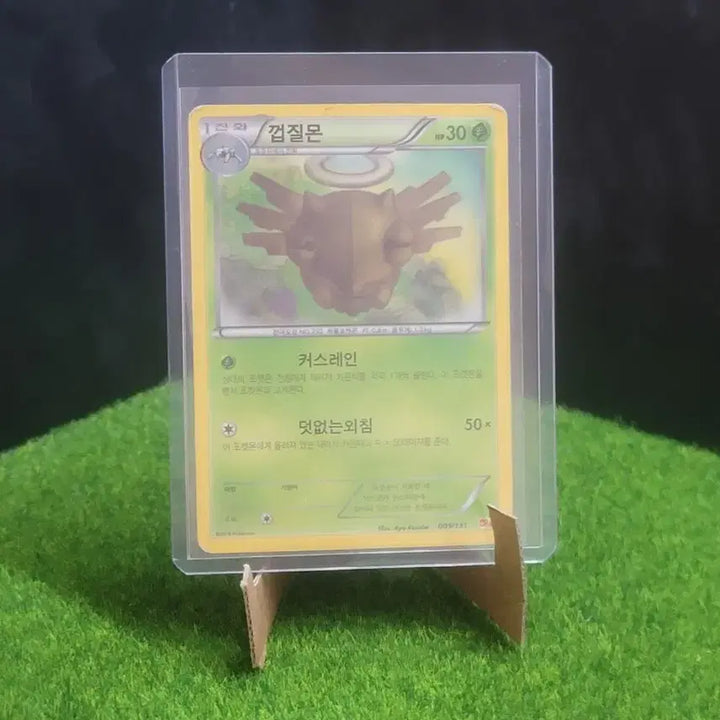 [BUNJANG] Pokemon Card Y Collection 2016 Shellos Card / 포켓몬카드 Y컬렉션 2016년 껍질몬카드