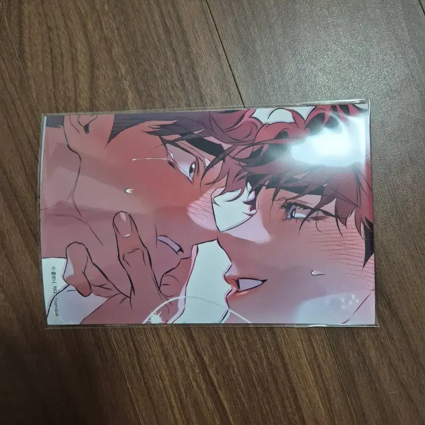 [BUNJANG] Toonique DTR Heyphotocard 2nd Week Photocard / 투니크 디티알 헤이포카 2주차
