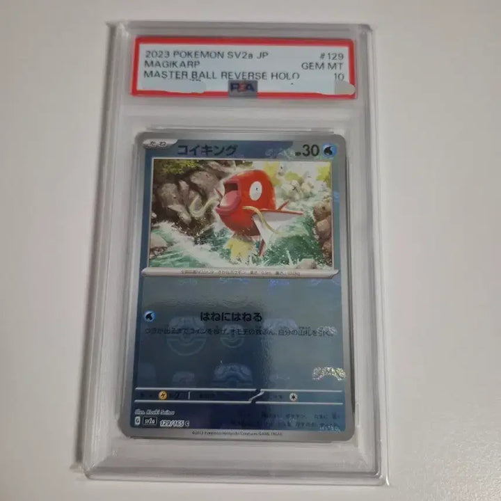 [BUNJANG] Gyarados Magikarp Master Ball Holo PSA 10 Japanese / 포켓몬카드 일판 잉어킹 마스터볼 psa10