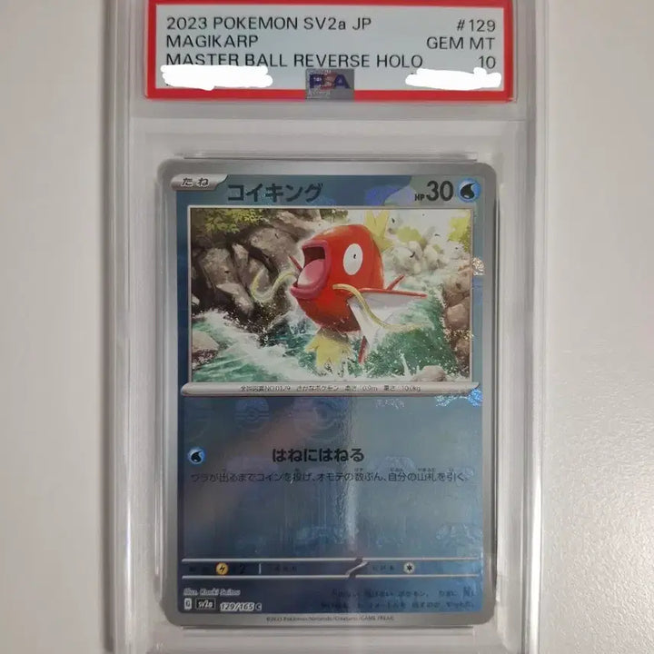 [BUNJANG] Gyarados Magikarp Master Ball Holo PSA 10 Japanese / 포켓몬카드 일판 잉어킹 마스터볼 psa10