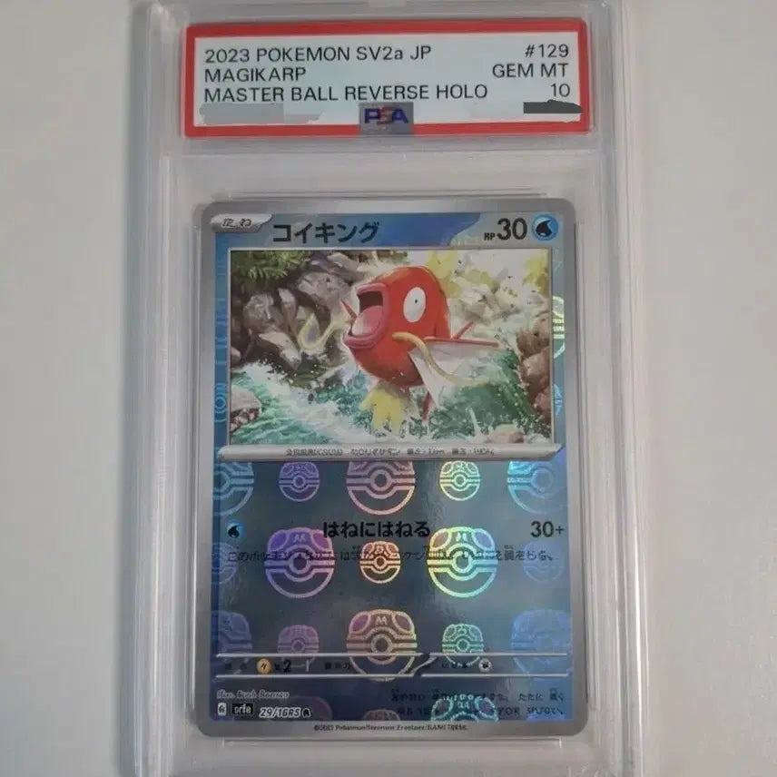 [BUNJANG] Gyarados Magikarp Master Ball Holo PSA 10 Japanese / 포켓몬카드 일판 잉어킹 마스터볼 psa10