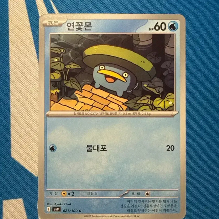 [BUNJANG] Pokemon Card Lotusmon C (Connected Illustration) / 포켓몬카드 연꽃몬 c (연결 일러스트)