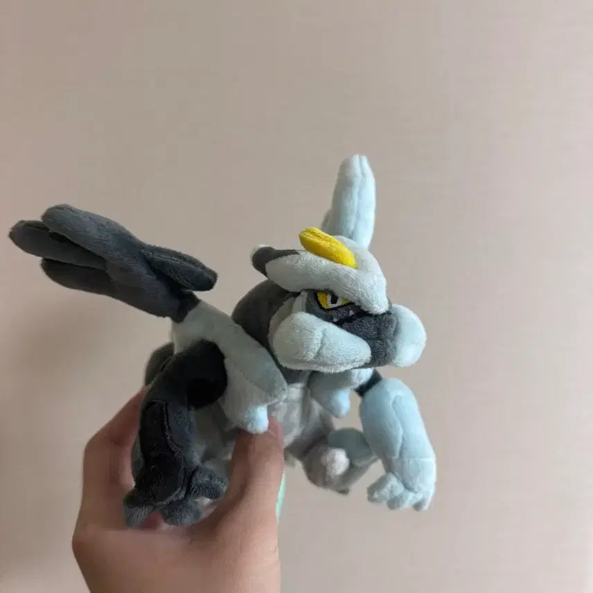 [BUNJANG] Pokemon Fit Black Kyurem White Kyurem Bundle / 포켓몬 핏 fit 블랙큐레무 화이트큐레무