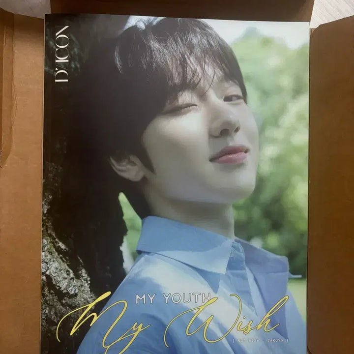 [BUNJANG] Sakura Dicon Photobook / 사쿠야 디아이콘 팔아요!