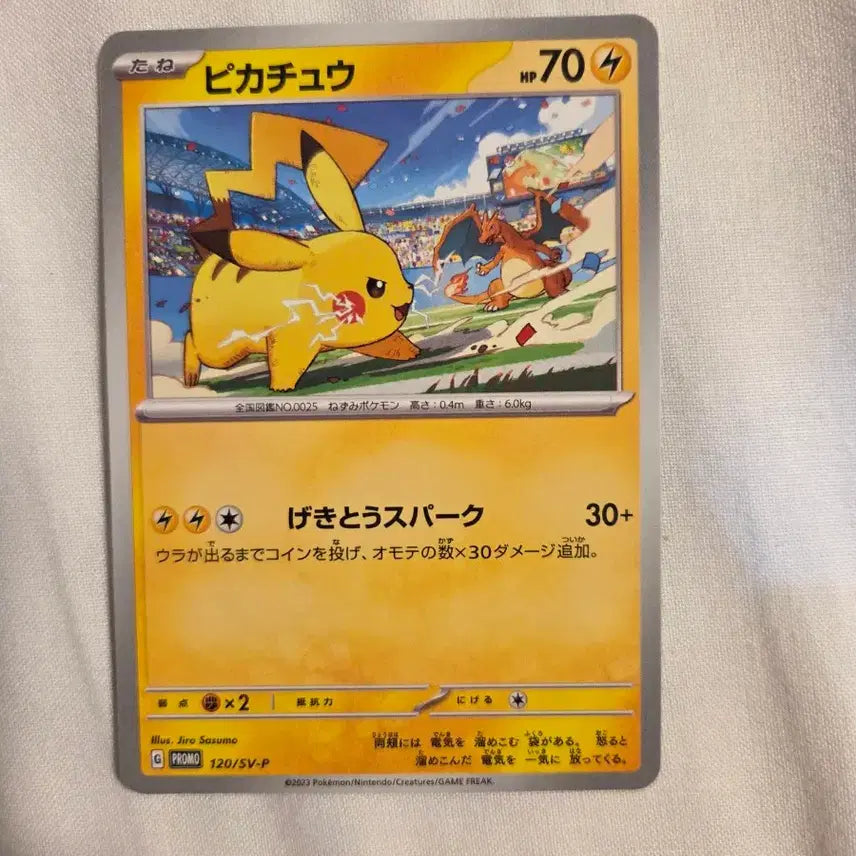 [BUNJANG] Pokemon Card 2023 Gym Promo Pikachu / 포켓몬카드 2023 짐 프로모 피카츄