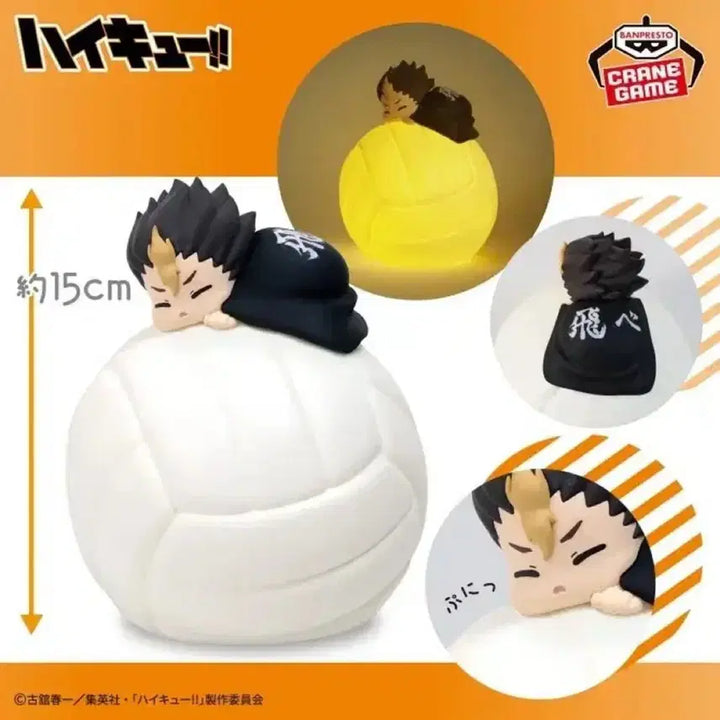 [BUNJANG] Banpresto Haikyu!! Suyasuya Room Light Nishinoya Yu / 반프레스토 하이큐!! 스야스야 룸라이트 - 니시노야 유
