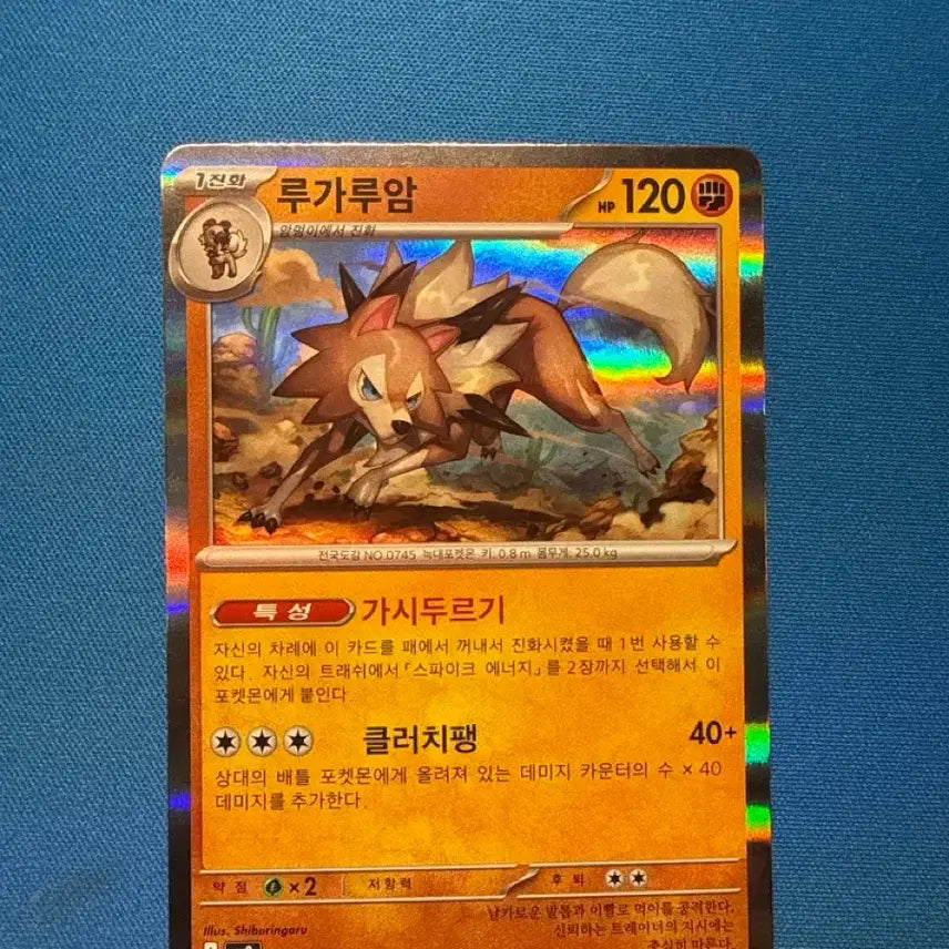 [BUNJANG] Pokemon Card Lycanroc 052/100 R / 포켓몬카드 루가루암 052/100 R