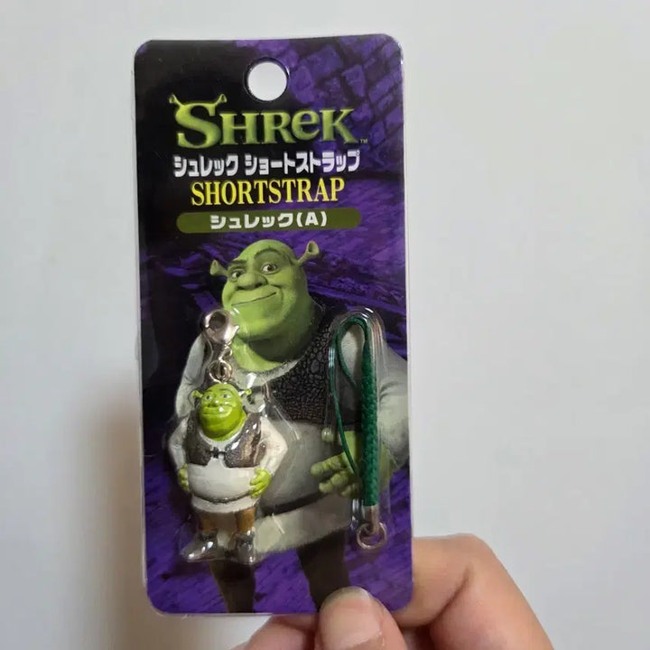 [BUNJANG] Shrek Movie Character Figurine Keychain Strap Vintage Toy / 고전 만화 캐릭터 굿즈 피규어 인형 빈티지 토이 슈렉 영화 키링 스트랩