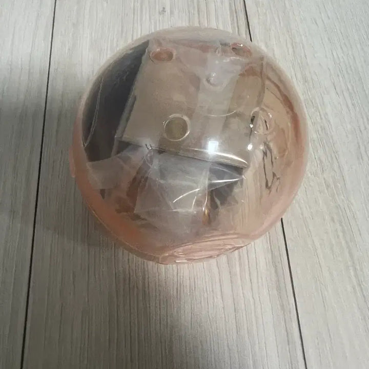 [BUNJANG] Pokémon Found Mascot Gacha Eevee / 포켓몬스터 찾았다 마스코트 가챠 이브이