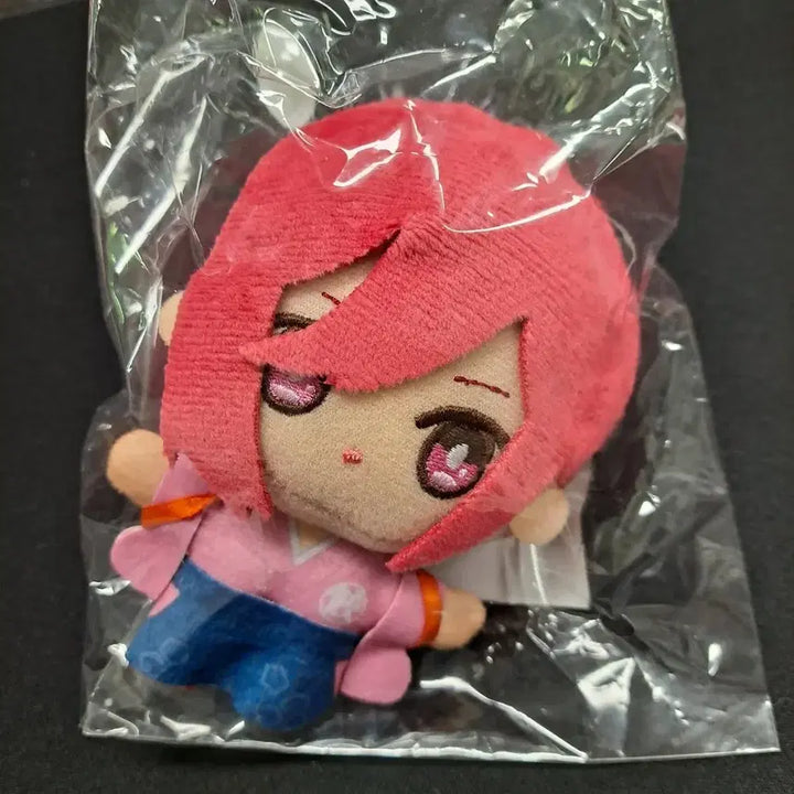 [BUNJANG] Blue Lock Chigiri Hyoma Plush Doll / 블루록 인형 누이 치기리 효마