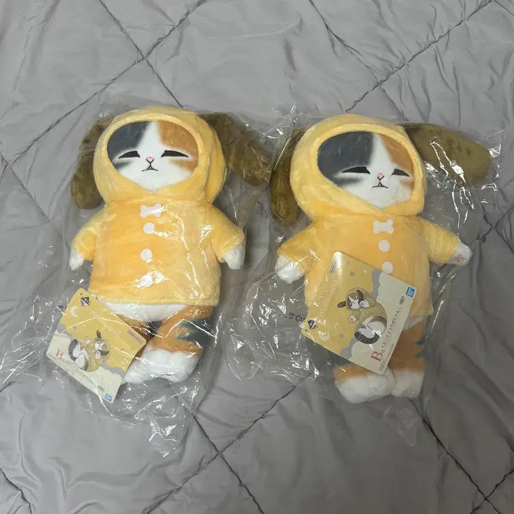 [BUNJANG] Mofusand Ichiban Kuji B Prize Cat Plush Doll / 모프샌드 이치방쿠지 B상 인형 고양이