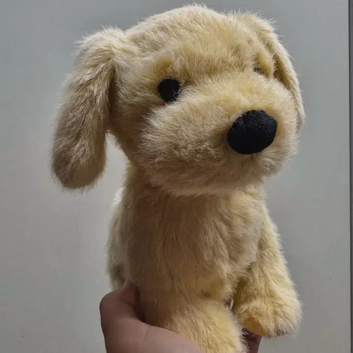 [BUNJANG] Jellycat Golden Puppy Plush / 잴리캣 골든 퍼피