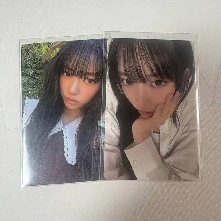 [BUNJANG] Miyaho Character Bundle Set Photocard / 미야오 수인 시그 포카 일괄양도