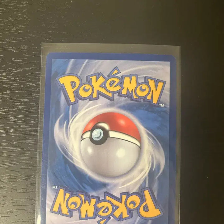[BUNJANG] Pokémon Card Flame Body SAR / 포켓몬 카드 파라 블레이즈 sar