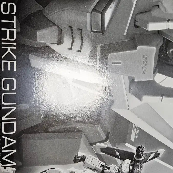 [BUNJANG] Bandai Perfect Strike Gundam RG Model Kit / rg 퍼펙트스트라이크 건담 팝니다