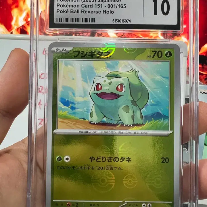 [BUNJANG] Bulbasaur CGC 10 Holo Pokemon Card / 이상해씨 포켓몬카드 cgc 10점